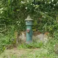 A funky fire hydrant in a hedge, Quettehou, Sainte-Marie-du-Mont and the D-Day Museum, Utah Beach - 4th June 2026
