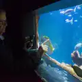 Fish in a tank, Cité de lar Mer and a Dakota Flight Home, Cherbourg - 7th June 2026