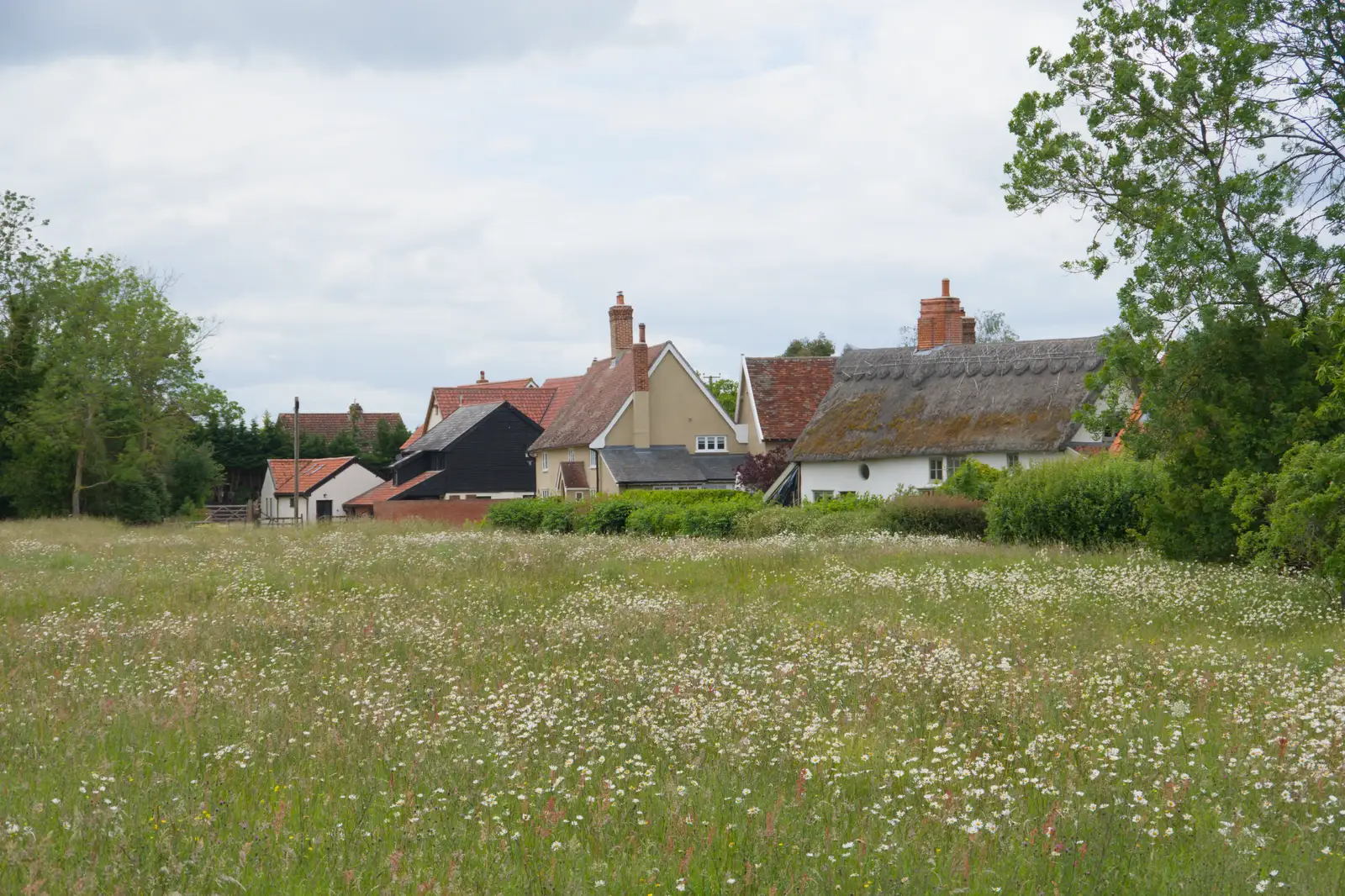 Houses on Mellis common, from Mellis Gardens and a Walk to Diss, Norfolk - 13th June 2026