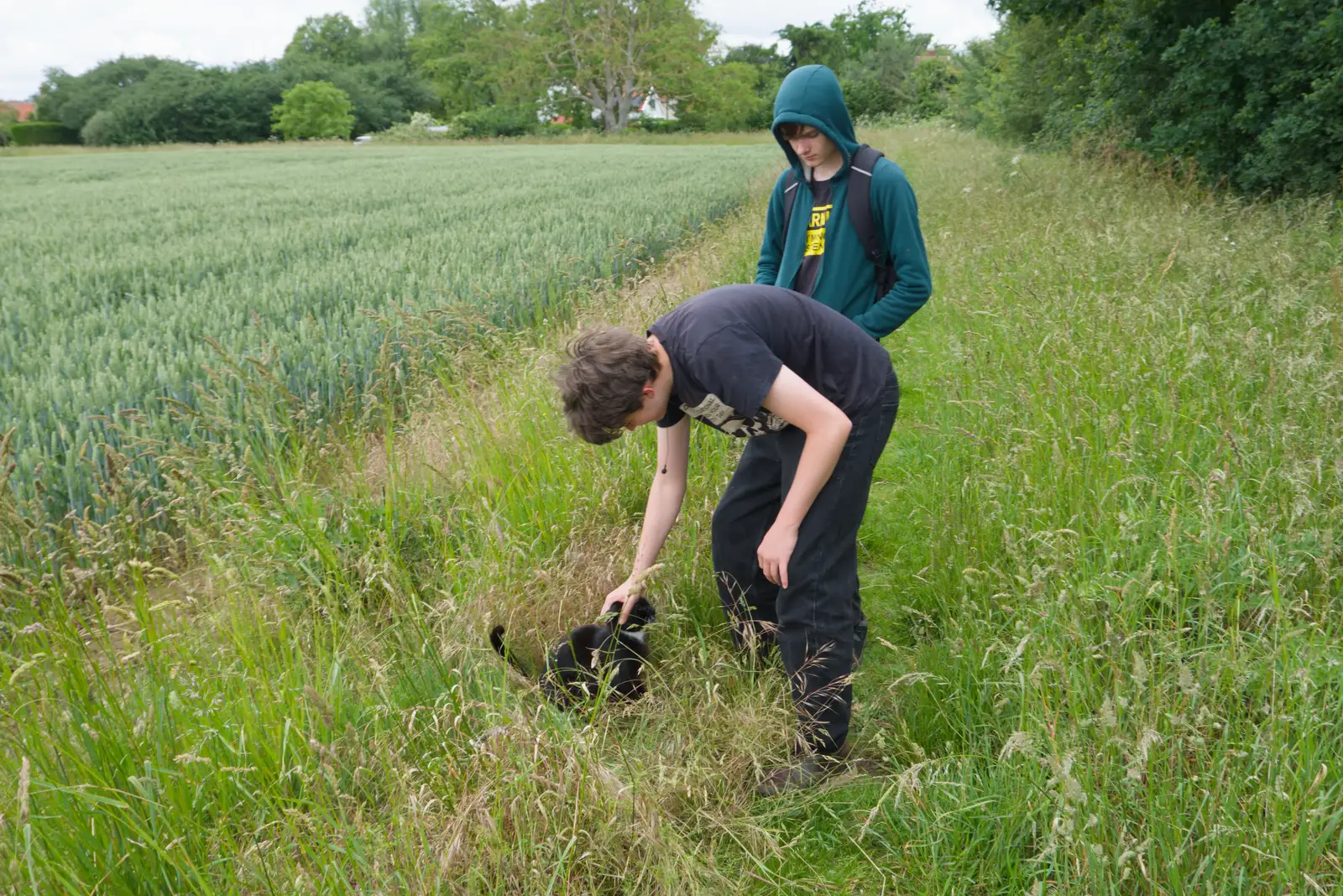 Fred interacts with Cat, from Mellis Gardens and a Walk to Diss, Norfolk - 13th June 2026