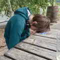 Harry looks like he's bored or asleep again, Mellis Gardens and a Walk to Diss, Norfolk - 13th June 2026