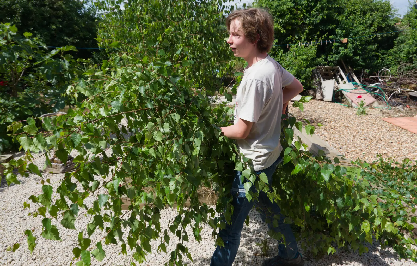 Oak carries off the prunings, from A Father's Day Pub Crawl, Ampersand Tap, Diss - 21st June 2026