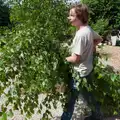 Oak carries off the prunings, A Father's Day Pub Crawl, Ampersand Tap, Diss - 21st June 2026