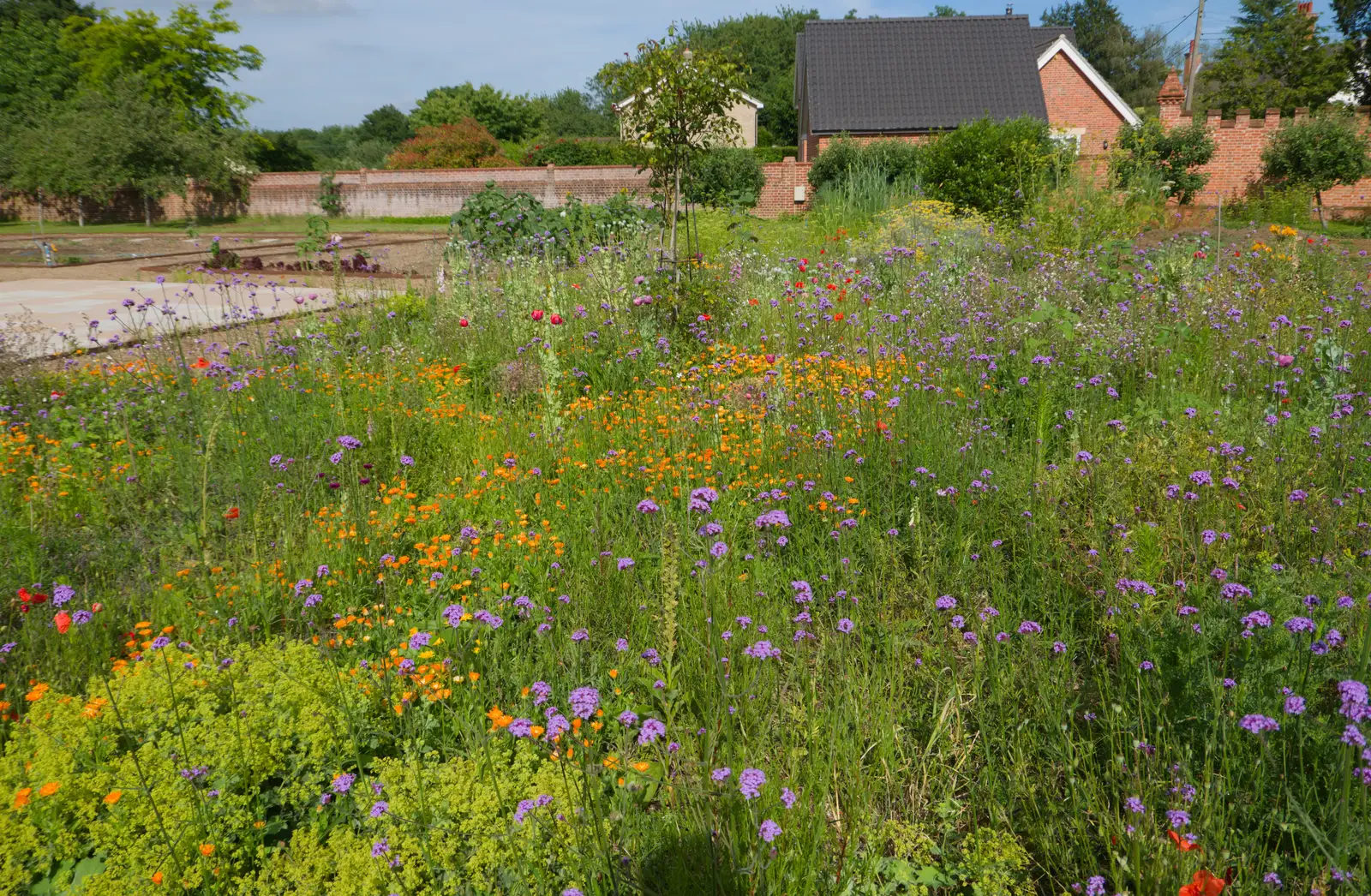 The Oaksmere's walled garden, from A Father's Day Pub Crawl, Ampersand Tap, Diss - 21st June 2026