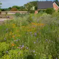 The Oaksmere's walled garden, A Father's Day Pub Crawl, Ampersand Tap, Diss - 21st June 2026