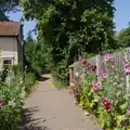 Hollyhocks near the doctors' surgery in Diss, The BSCC does the Red Lion, Kenninghall, Norfolk - 25th June 2026