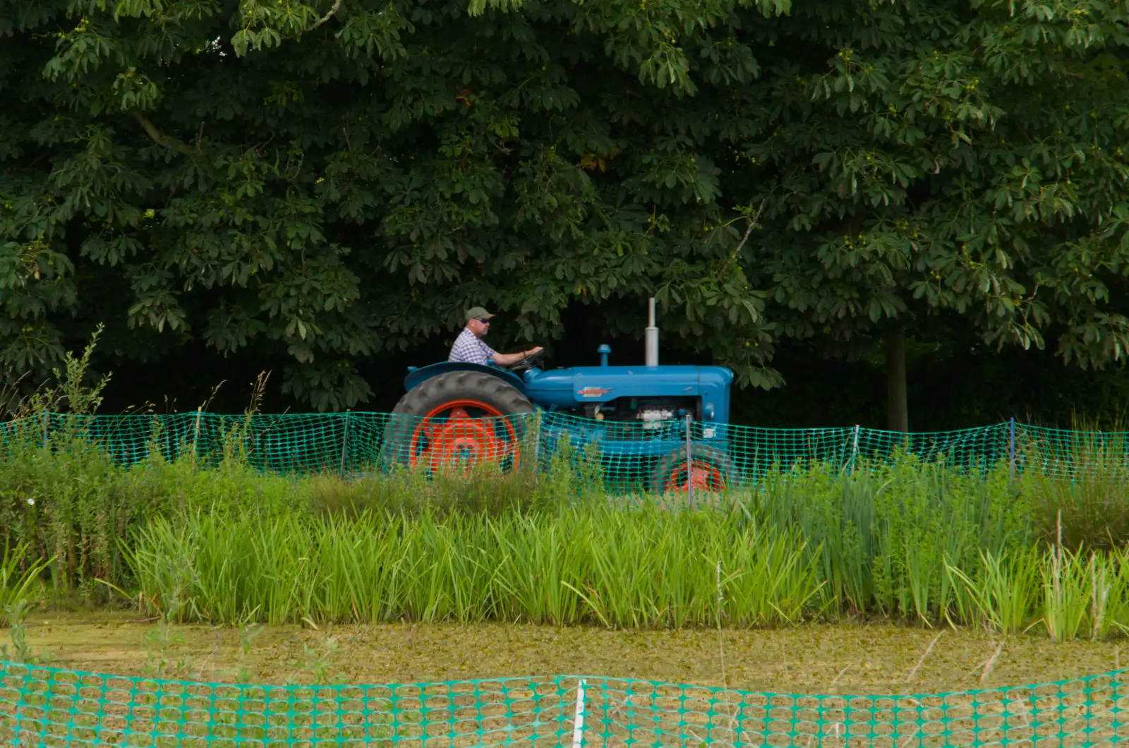 Andrew arrives on his Fordson Major tractor, from The Return of the Hog Roast, Thrandeston, Suffolk - 28th June 2026