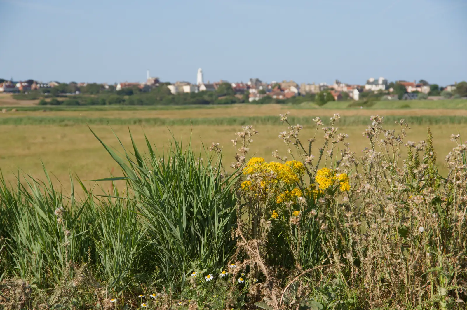 A view of Southwold from across the common, from Harry's Karate Kamp, Harbour Campsite, Southwold - 12th July 2026
