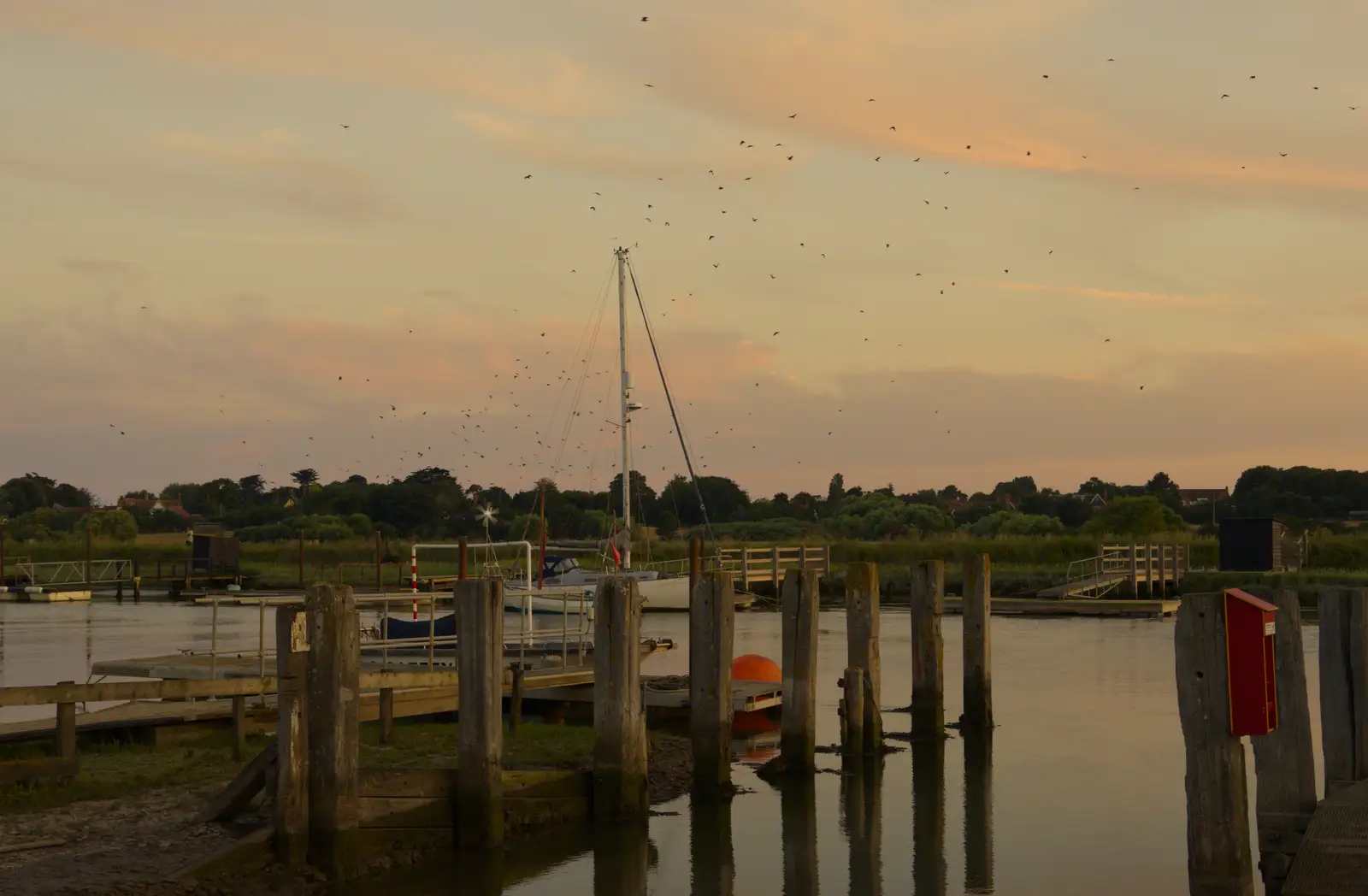 Birds wheel around over the river, from Harry's Karate Kamp, Harbour Campsite, Southwold - 12th July 2026