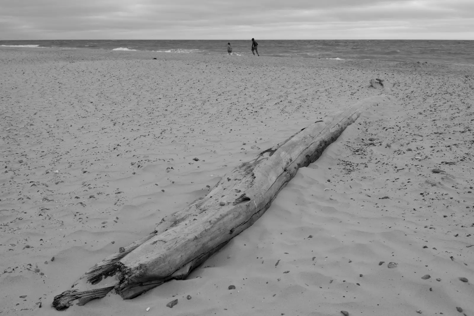 There's a giant log on the beach, from Harry's Karate Kamp, Harbour Campsite, Southwold - 12th July 2026