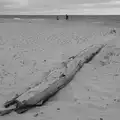 There's a giant log on the beach, Harry's Karate Kamp, Harbour Campsite, Southwold - 12th July 2026