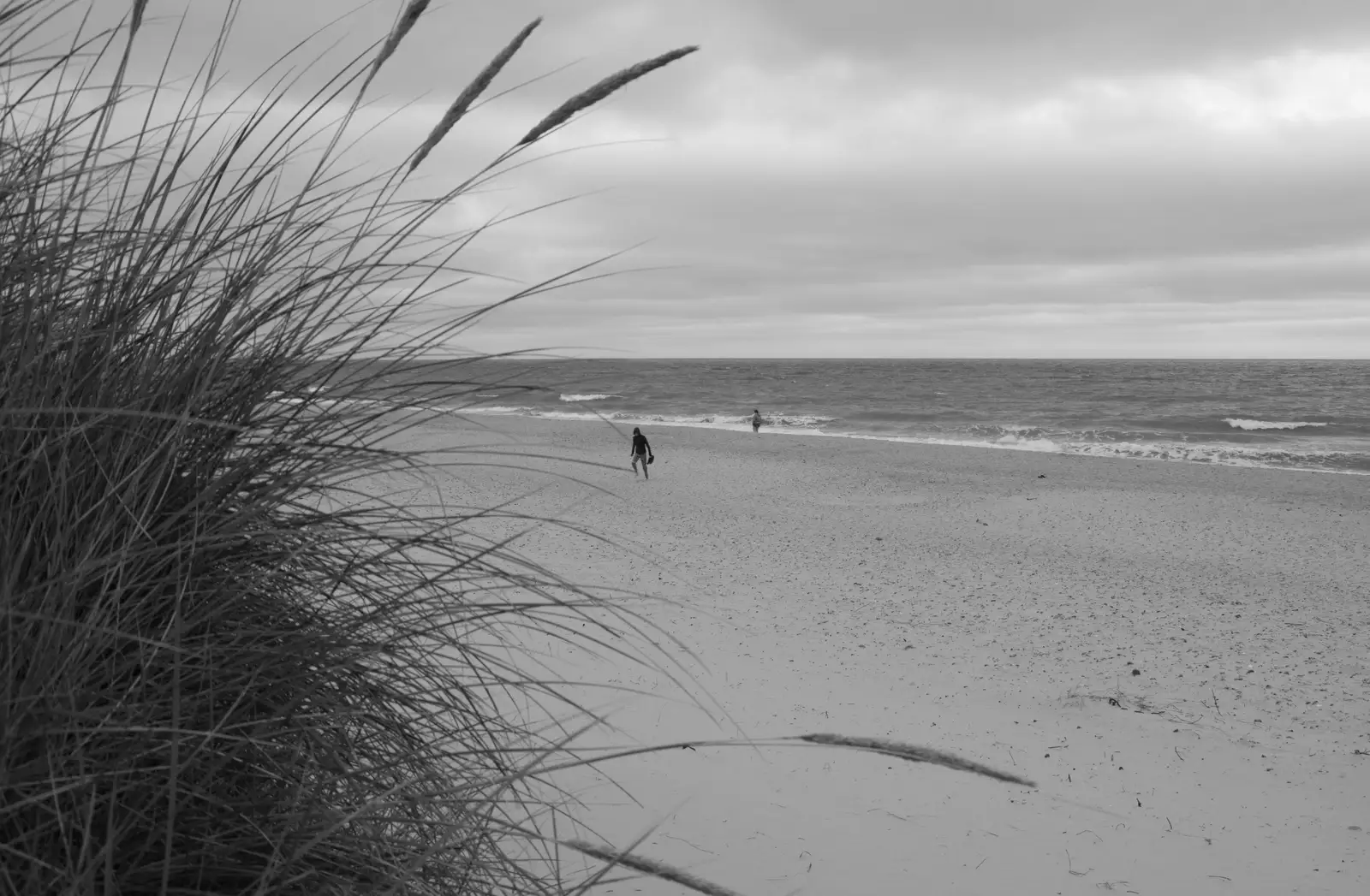 Harry stumps around on the beach, from Harry's Karate Kamp, Harbour Campsite, Southwold - 12th July 2026