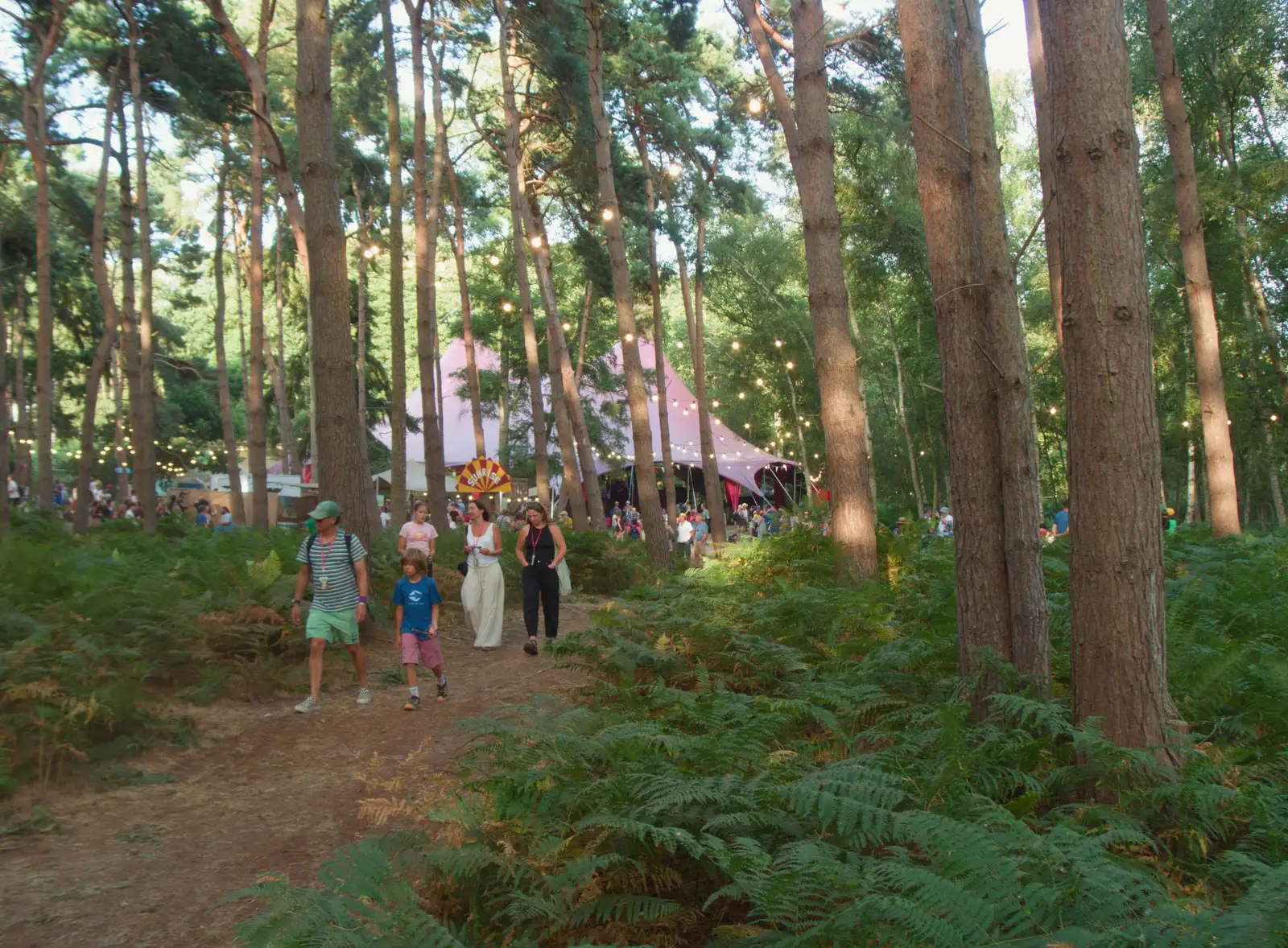 Tall trees near the Sunrise Arena, from Latitude's Twentieth Edition, Henham Park, Suffolk - 25th July 2026