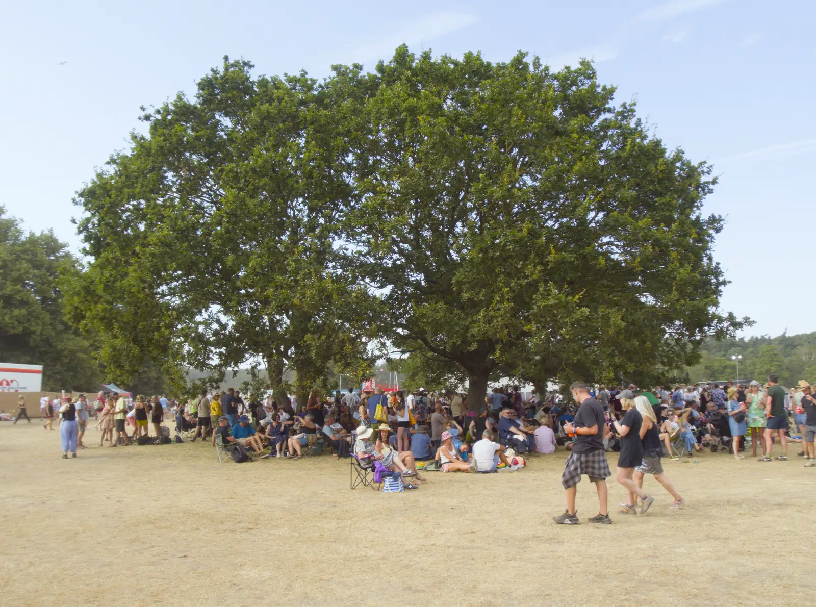 People cling to the shade offered by the tree, from Latitude's Twentieth Edition, Henham Park, Suffolk - 25th July 2026