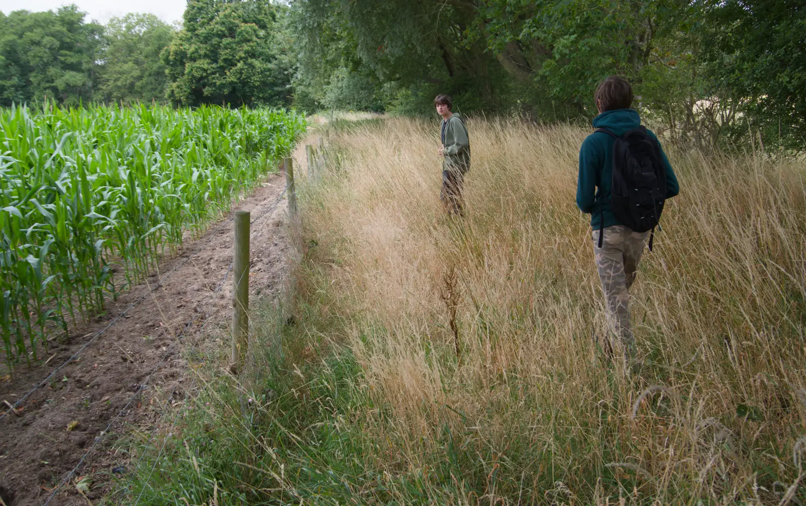 Fred and Harry by a maize field, from A July Miscellany: Scole and a Ride To Pulham, Norfolk - 30th July 2026