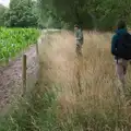 Fred and Harry by a maize field, A July Miscellany: Scole and a Ride To Pulham, Norfolk - 30th July 2026