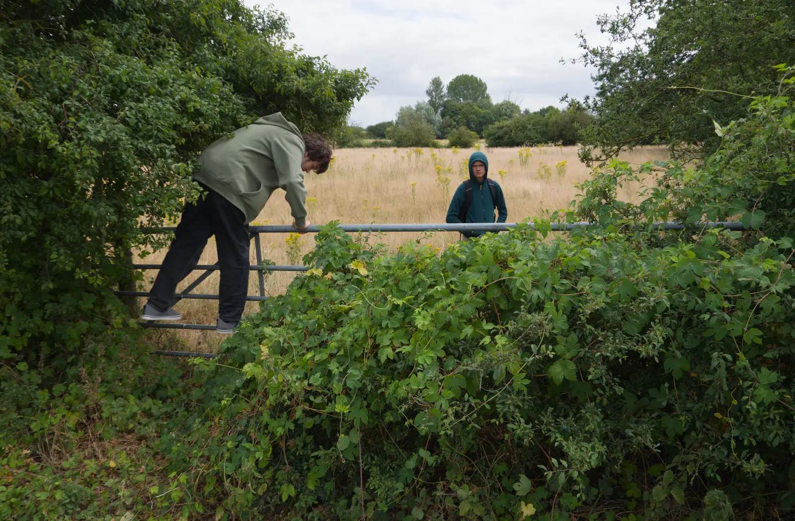 Another gate to climb over, from A July Miscellany: Scole and a Ride To Pulham, Norfolk - 30th July 2026
