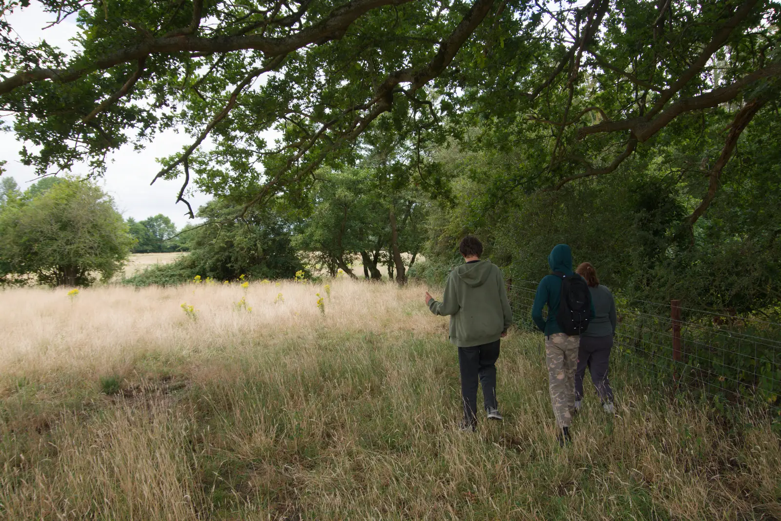 Walking under a giant oak tree, from A July Miscellany: Scole and a Ride To Pulham, Norfolk - 30th July 2026