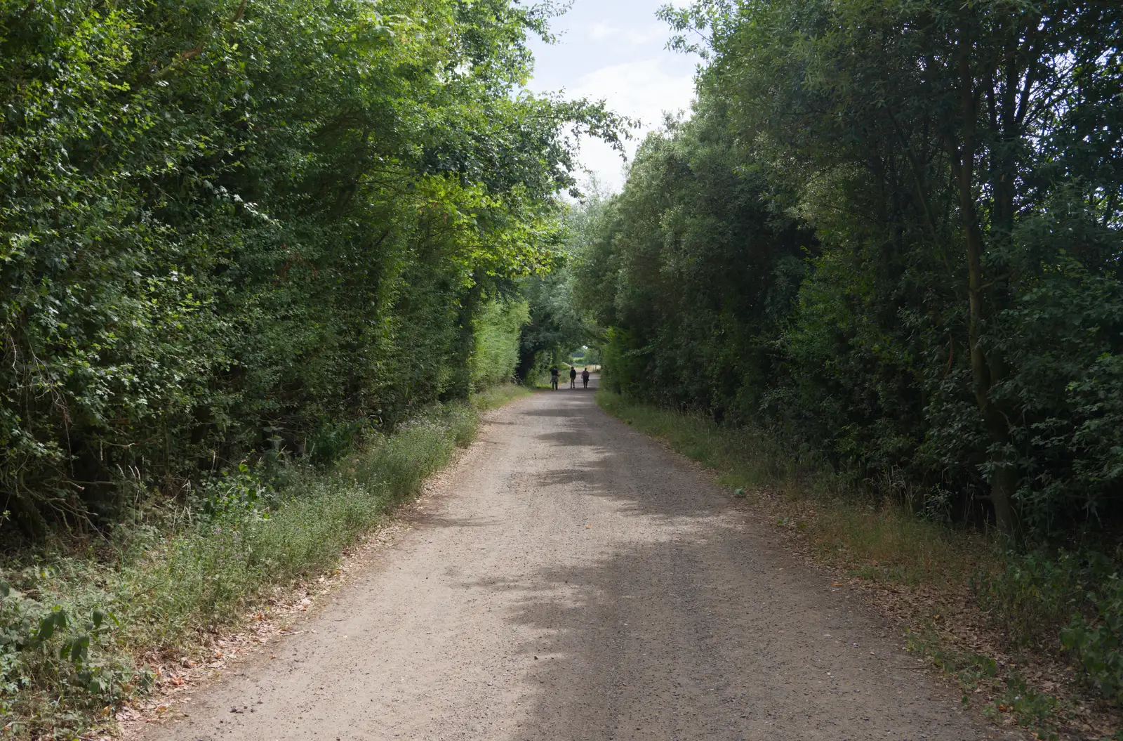 The gang are dots in the distance, from A July Miscellany: Scole and a Ride To Pulham, Norfolk - 30th July 2026