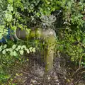 Farm irrigation is doing its bit to save water, A July Miscellany: Scole and a Ride To Pulham, Norfolk - 30th July 2026