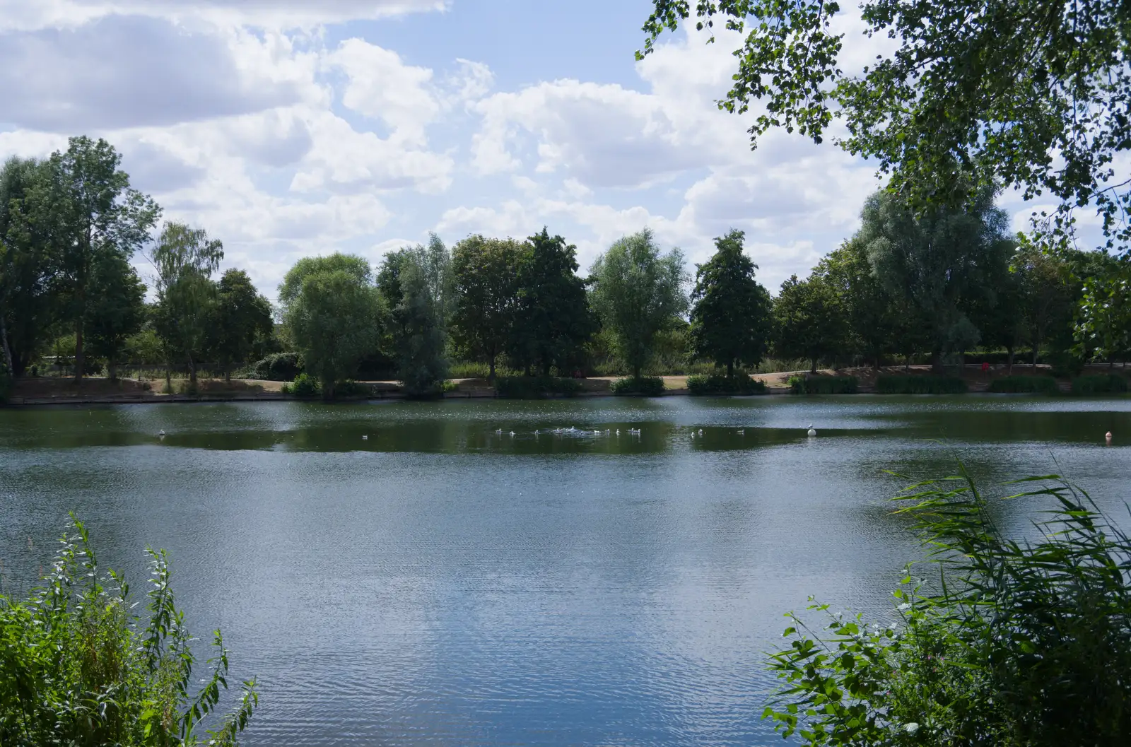 Needham Lake, from A Postcard From: Needham Market, Suffolk - 31st July 2026