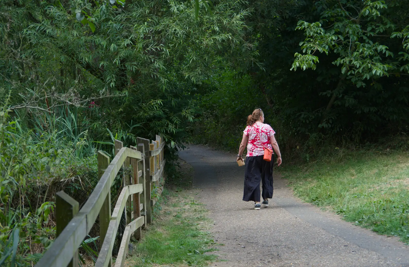 Isobel walks around the Needham Lake path, from A Postcard From: Needham Market, Suffolk - 31st July 2026