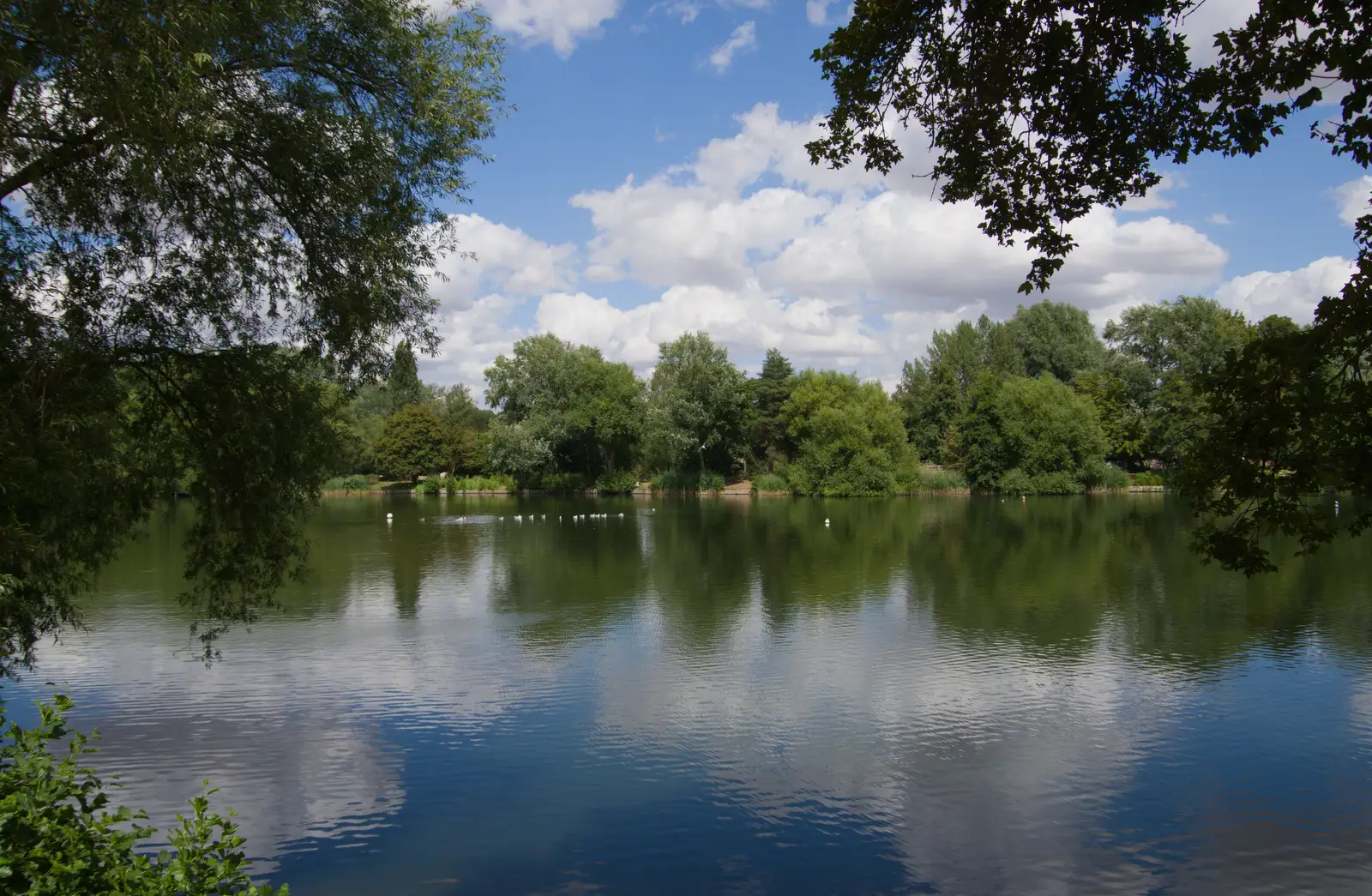A view from the other side of Needham Lake, from A Postcard From: Needham Market, Suffolk - 31st July 2026