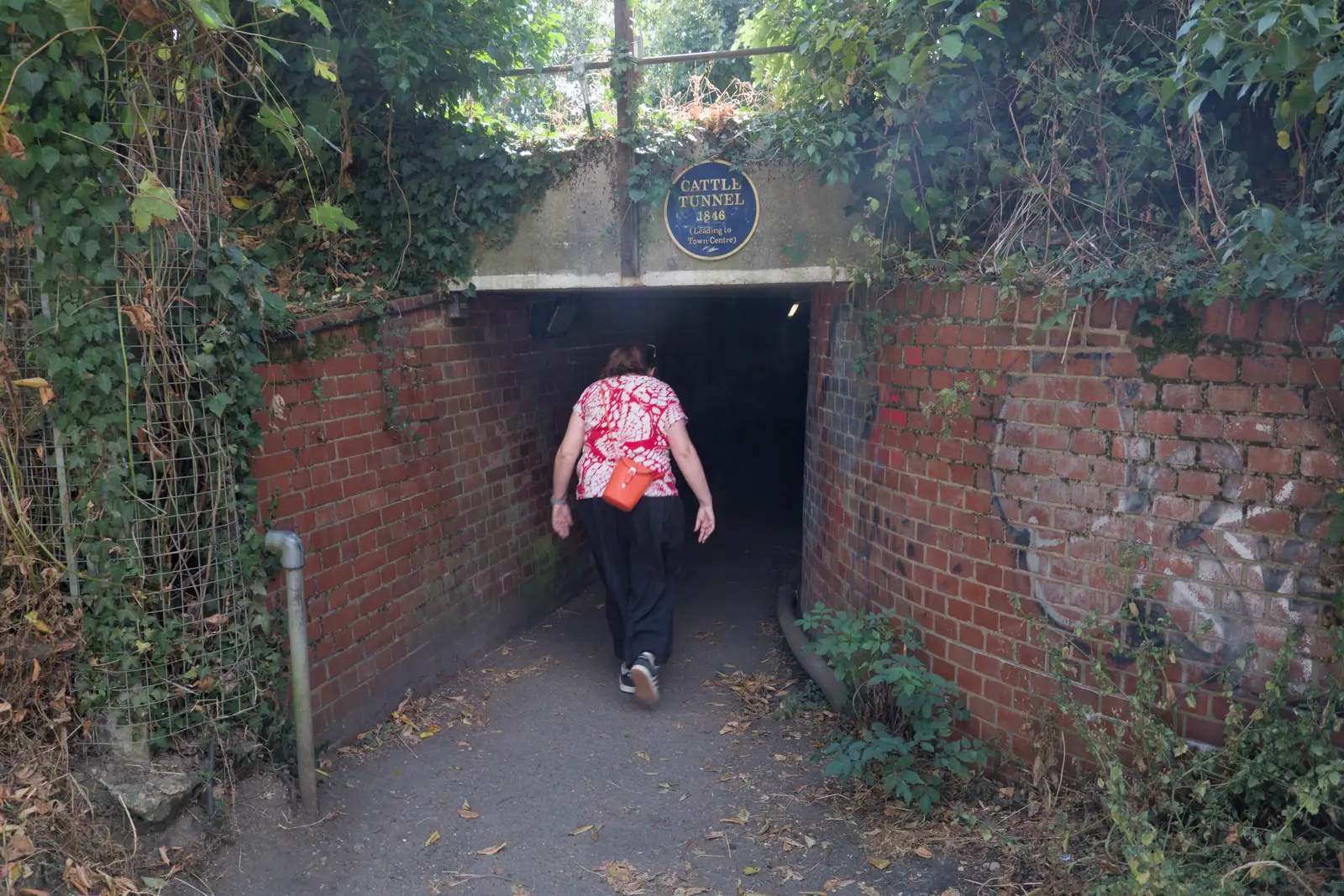 Isobel heads under the very low cattle bridge, from A Postcard From: Needham Market, Suffolk - 31st July 2026