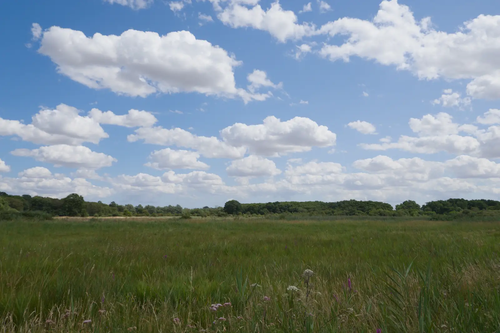 The big skies of Redgrave and Lopham Fen, from Music in the Beer Garden, Trowel and Hammer, Cotton - 2nd August 2026