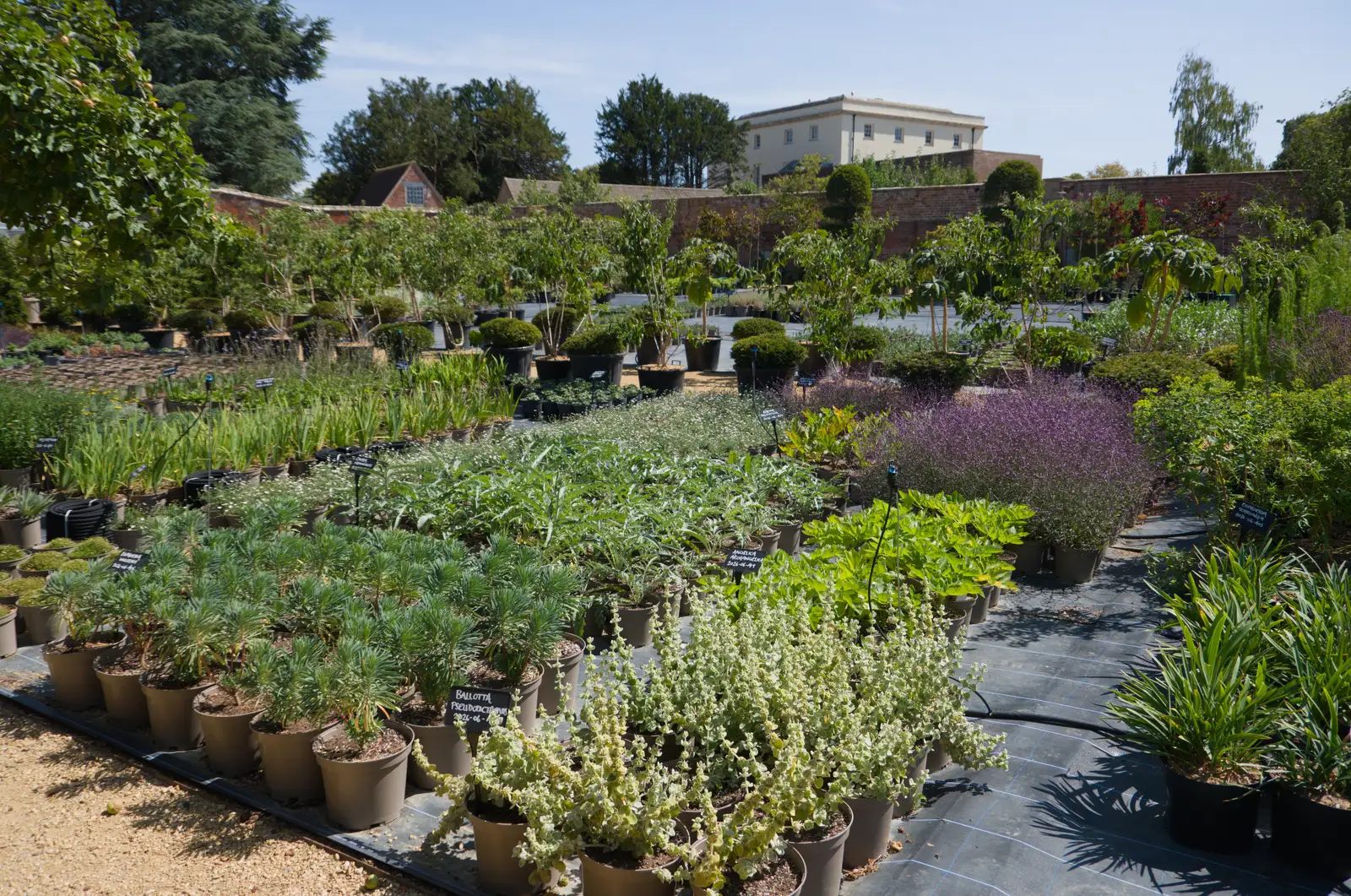 The walled garden is now full of plants, from Walking the Ridgeway: Chiseldon to Avebury, Wiltshire - 10th August 2026
