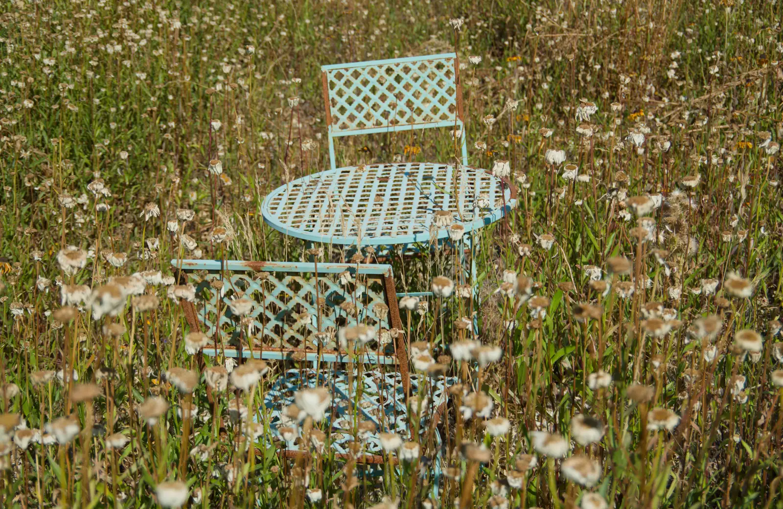 A bistro table and chairs in the wildflowers, from Walking the Ridgeway: Chiseldon to Avebury, Wiltshire - 10th August 2026