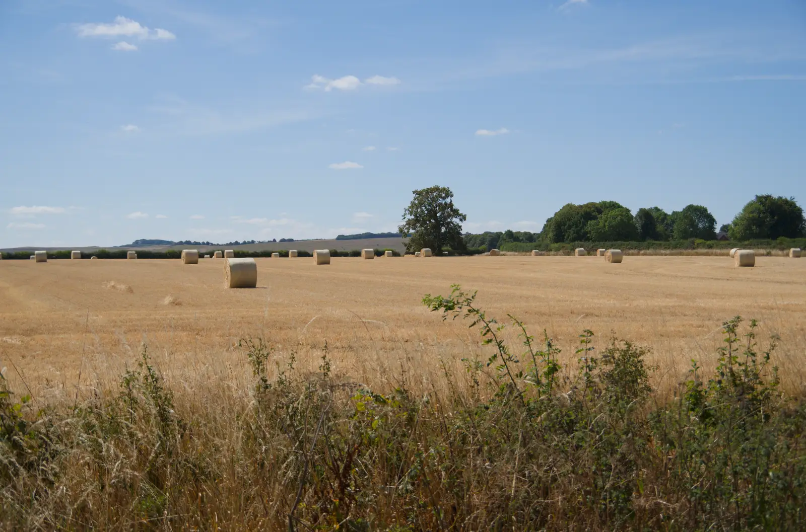 Bales of straw in a Wiltshire field, from Walking the Ridgeway: Chiseldon to Avebury, Wiltshire - 10th August 2026