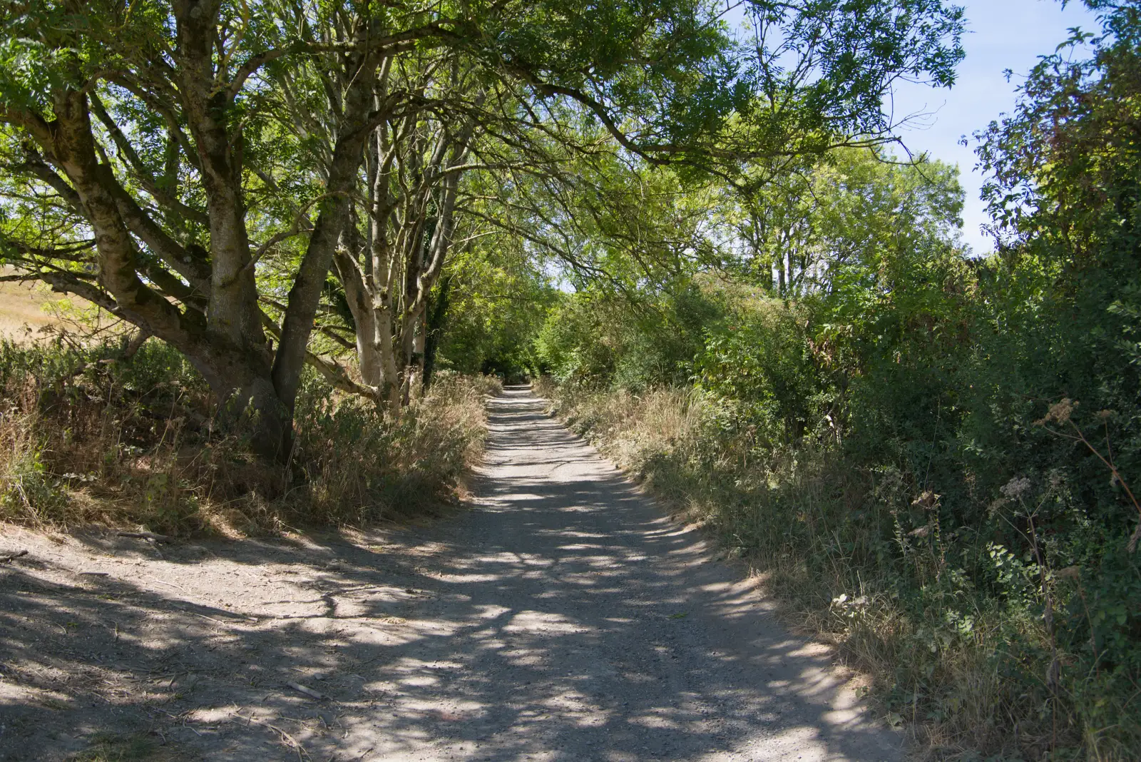 Walking up part of National Cycle Route 45, from Walking the Ridgeway: Chiseldon to Avebury, Wiltshire - 10th August 2026