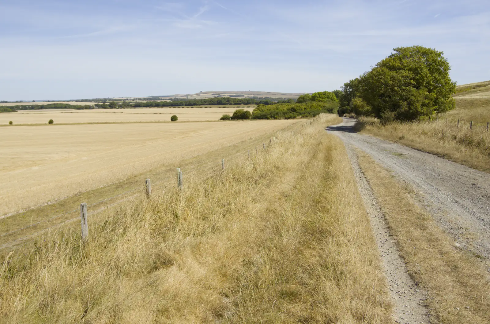 The fields of Wiltshire, from Walking the Ridgeway: Chiseldon to Avebury, Wiltshire - 10th August 2026