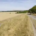 The fields of Wiltshire, Walking the Ridgeway: Chiseldon to Avebury, Wiltshire - 10th August 2026