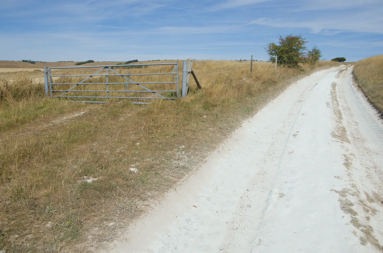 The chalk path is brutally hot, from Walking the Ridgeway: Chiseldon to Avebury, Wiltshire - 10th August 2026