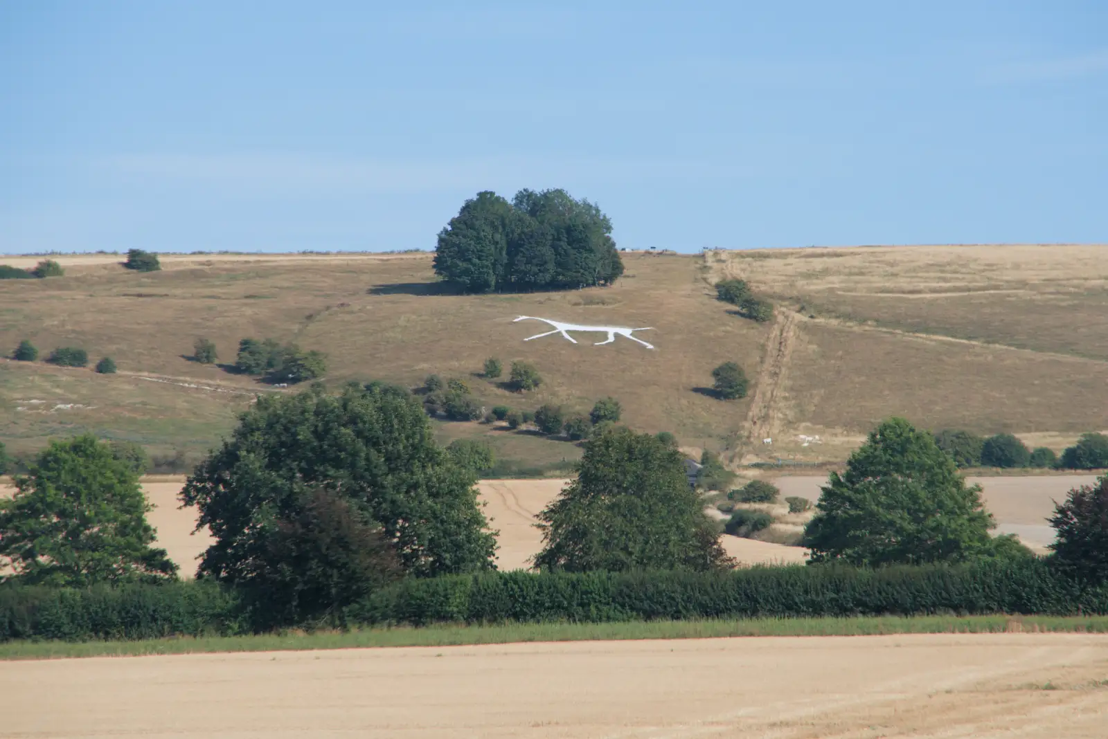 One of Wiltshire's nine horse carvings, from Walking the Ridgeway: Chiseldon to Avebury, Wiltshire - 10th August 2026