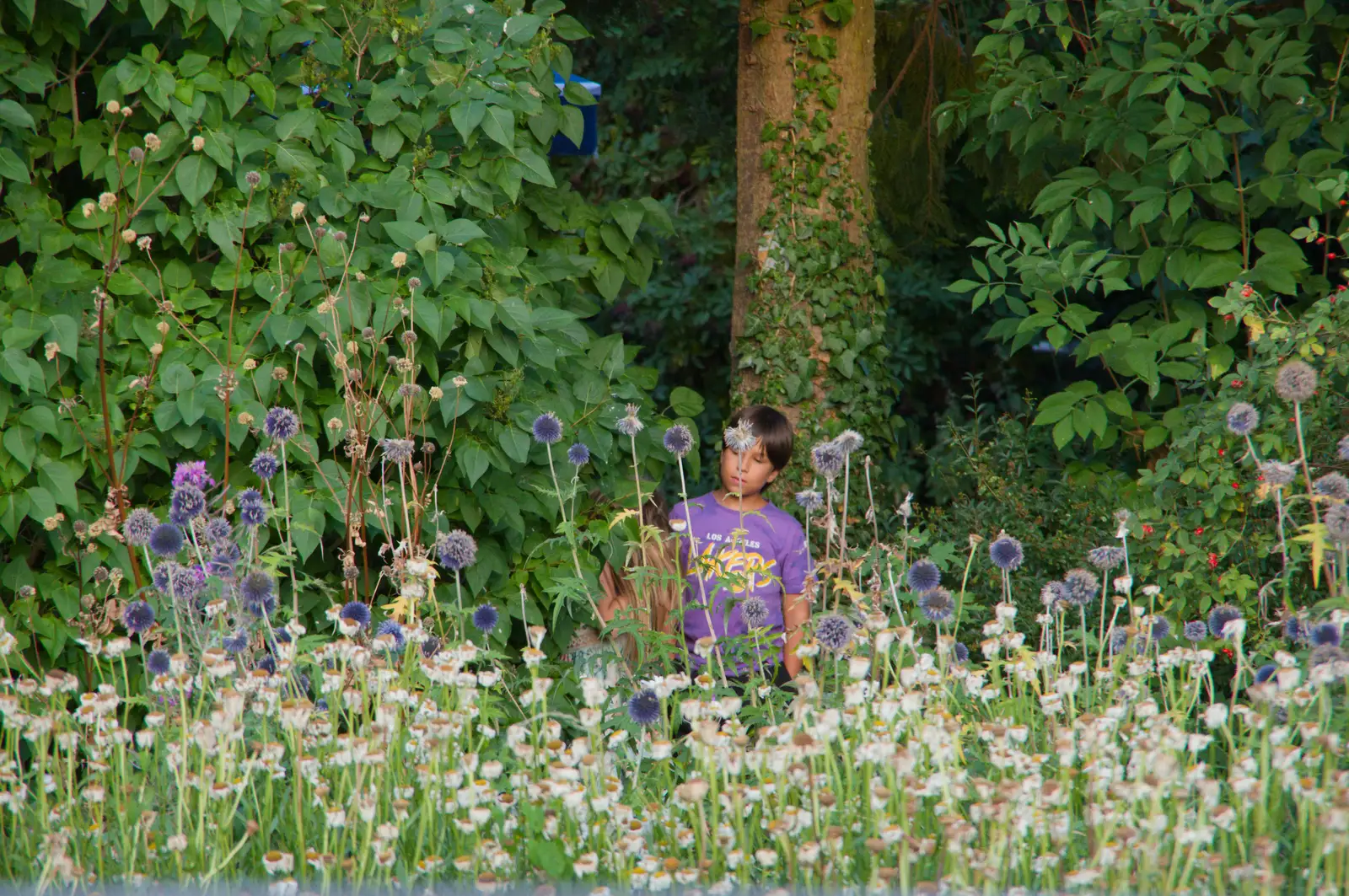 Davide messes around in the undergrowth, from Walking the Ridgeway: Chiseldon to Avebury, Wiltshire - 10th August 2026