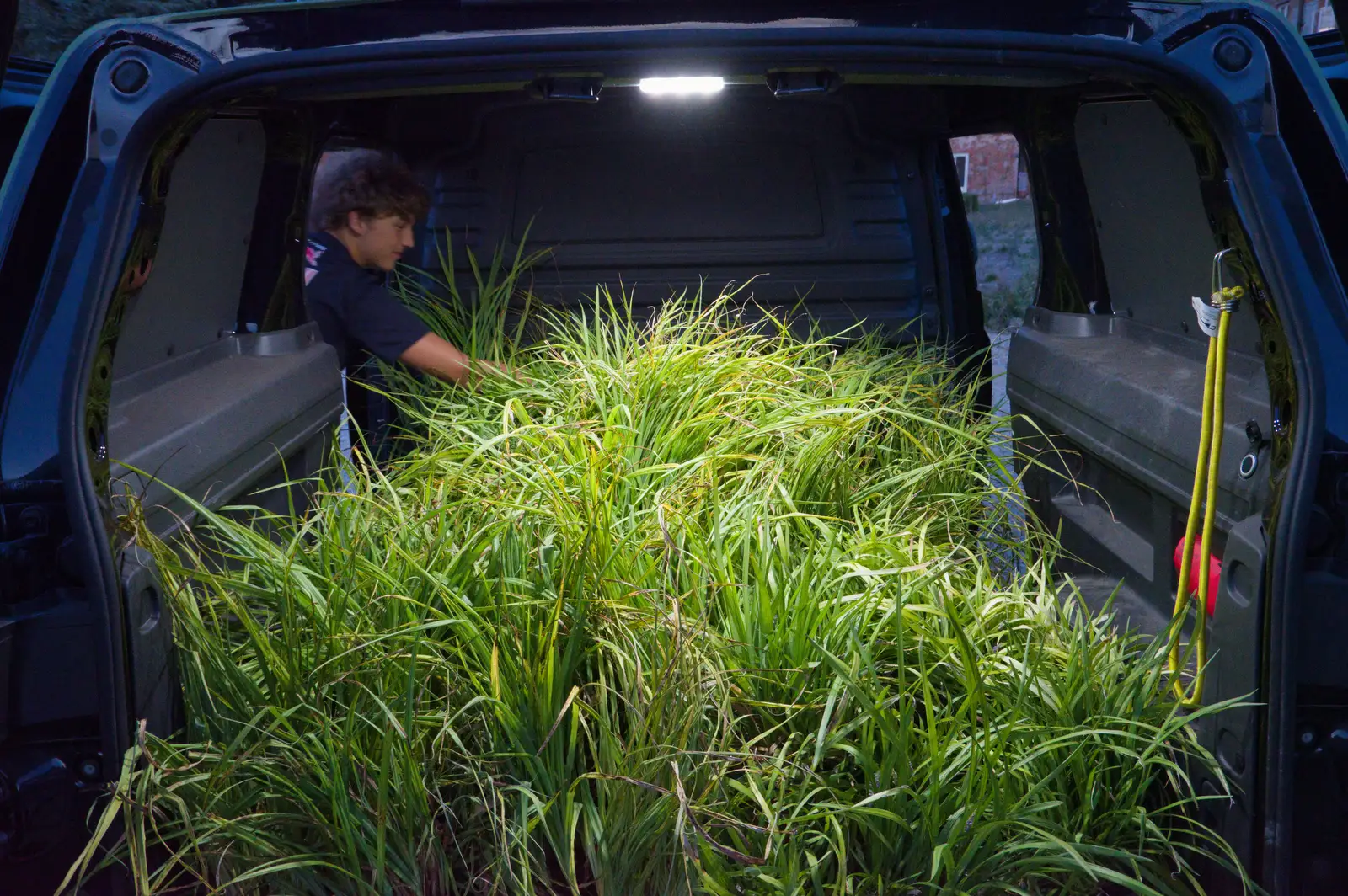 The van is full of potted grasses, from Walking the Ridgeway: Chiseldon to Avebury, Wiltshire - 10th August 2026