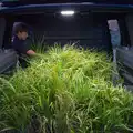 The van is full of potted grasses, Walking the Ridgeway: Chiseldon to Avebury, Wiltshire - 10th August 2026