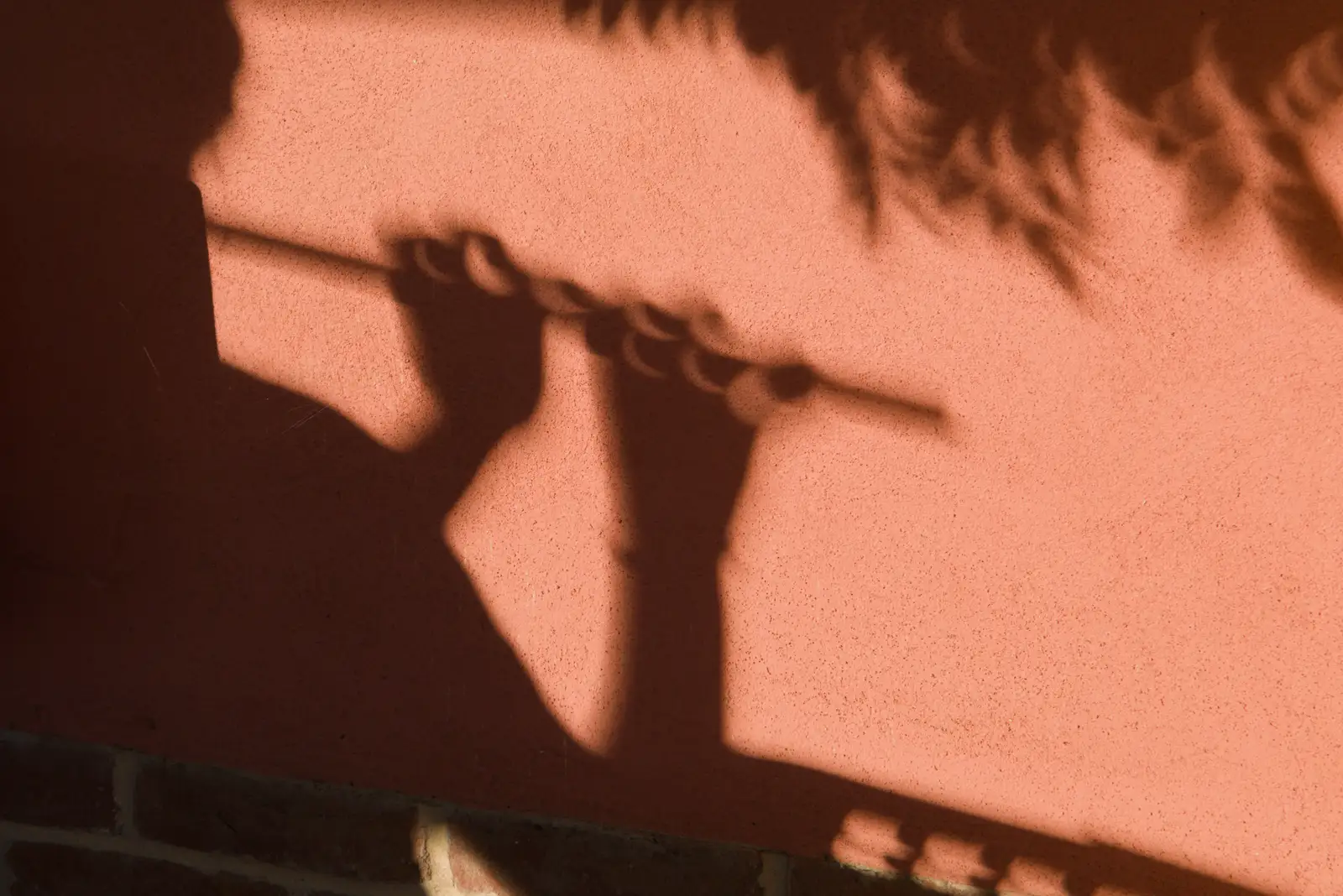 Fred's shadow fingers are all eclipses , from Eclipse and Chips, Brome, Suffolk - 12th August 2026