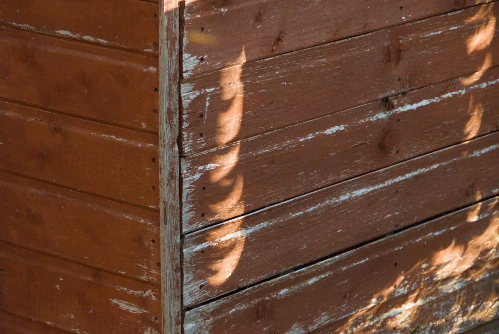 Crescent suns on the shed, from Eclipse and Chips, Brome, Suffolk - 12th August 2026