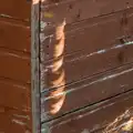 Crescent suns on the shed, Eclipse and Chips, Brome, Suffolk - 12th August 2026