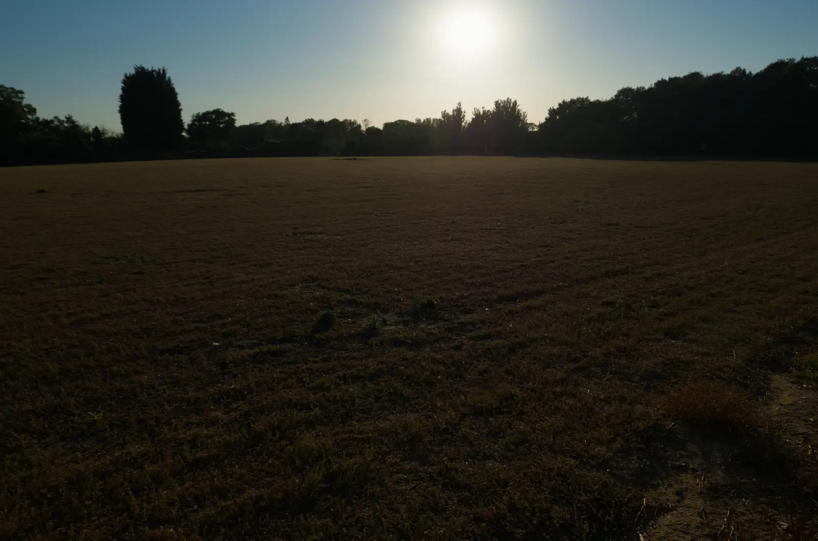 It's noticeably dim over the side field, from Eclipse and Chips, Brome, Suffolk - 12th August 2026
