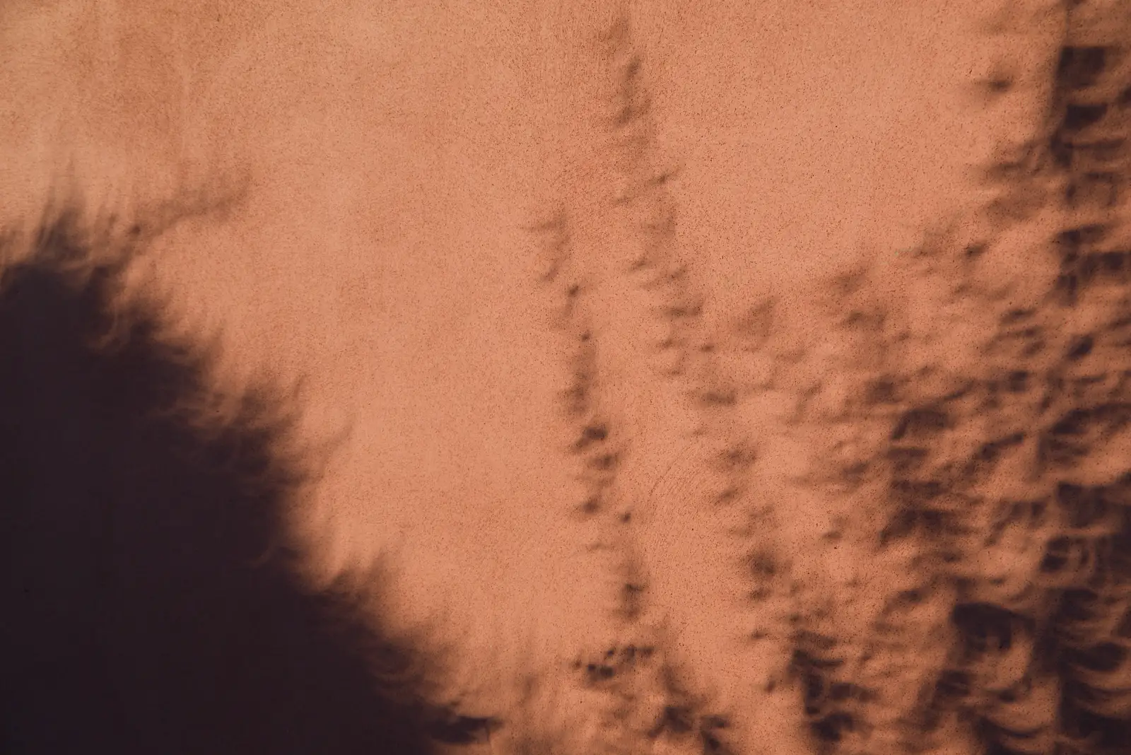 Shadows are all crescents as well, from Eclipse and Chips, Brome, Suffolk - 12th August 2026