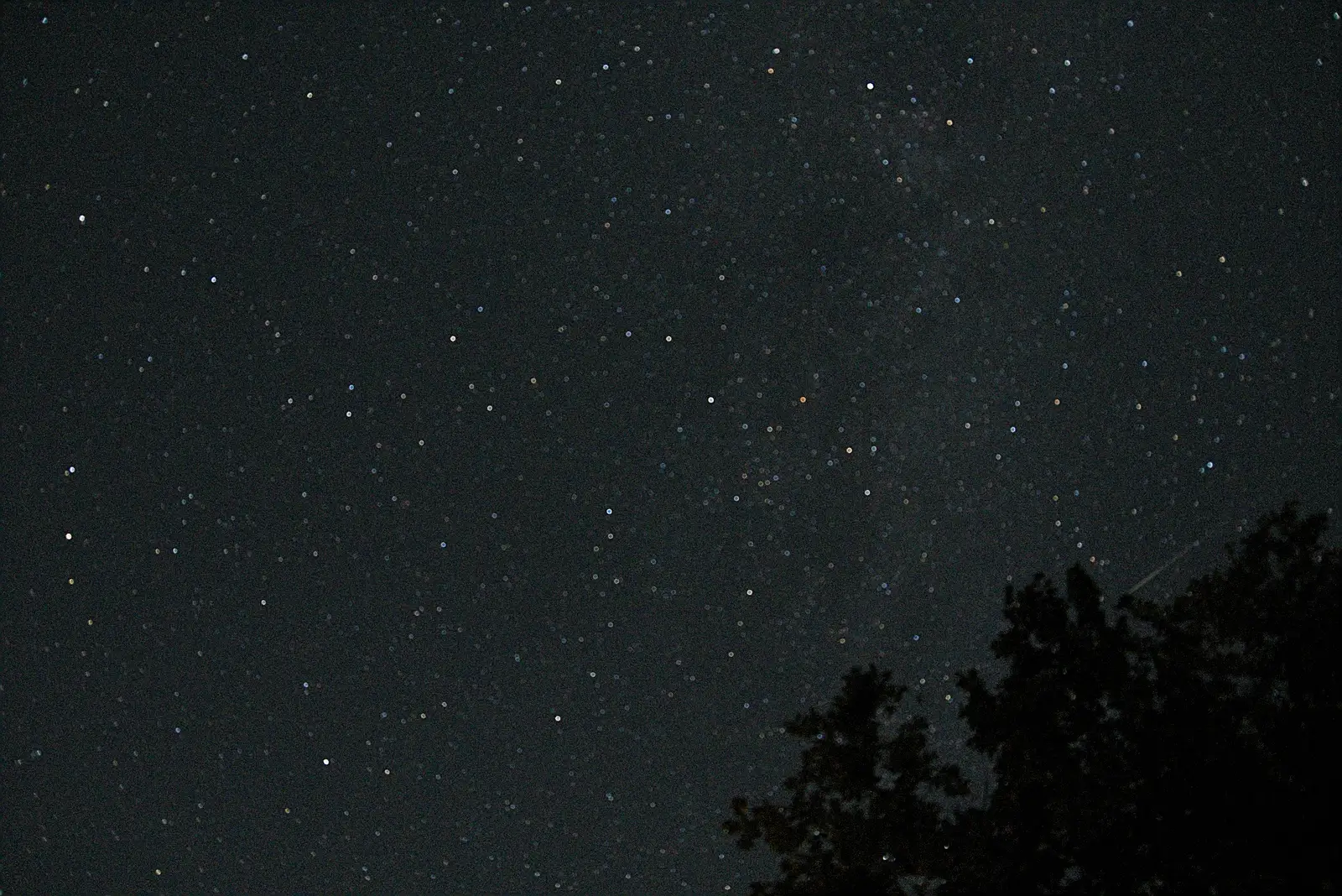 There's a Perseid above the tree, from Eclipse and Chips, Brome, Suffolk - 12th August 2026
