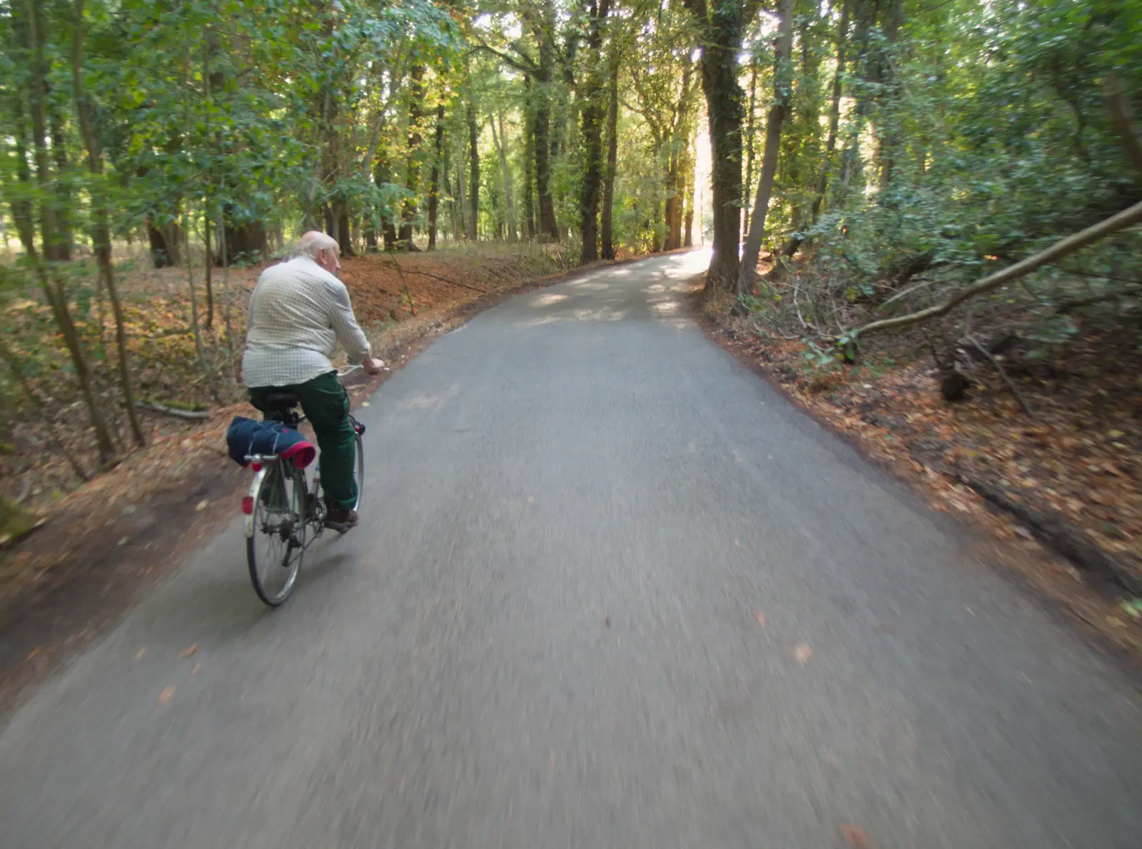 We continue through 'Bambi Woods', from A Wet Ride to the Four Horseshoes, Thornham - 19th August 2026
