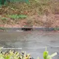Within minutes, the drains are filling up, A Wet Ride to the Four Horseshoes, Thornham - 19th August 2026