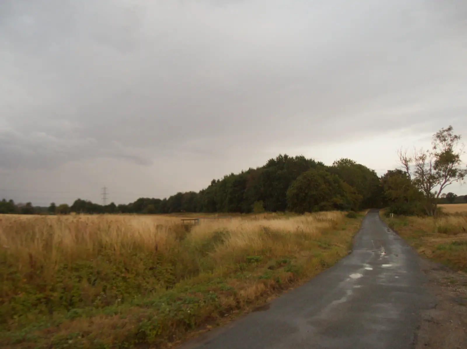 Thornham Road up towards Judas Lane, from A Wet Ride to the Four Horseshoes, Thornham - 19th August 2026