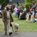 Noddy is still roaming around with Maude, The Ukulele Hooley, People's Park, Dún Laoghaire, Ireland - 22nd August 2026